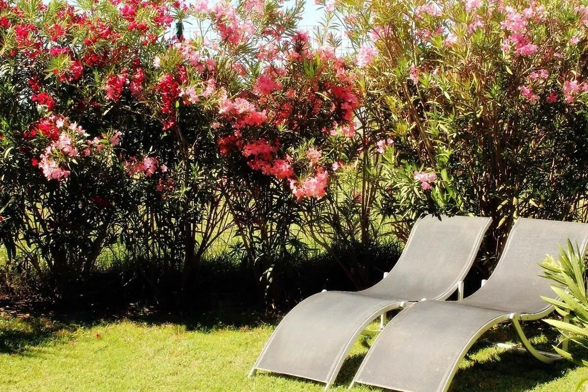 Studio Equipe Clim Jardin Spa Centre Arles A 10Mn Apartment