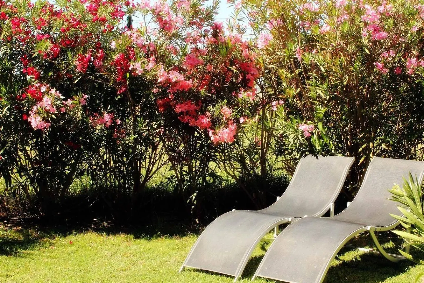 Studio Equipe Clim Jardin Spa Centre Arles A 10Mn France